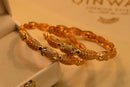 Elegant Design Gold Plated 2pc Bangles Set for Girls/Women